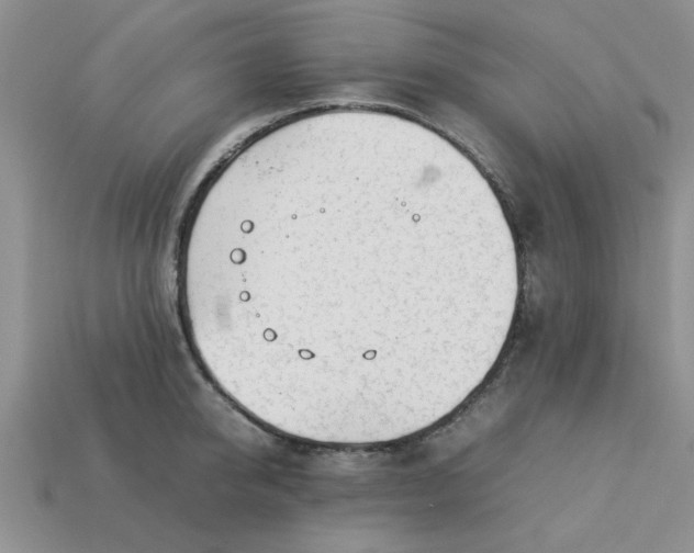 X0000113010950200909101814