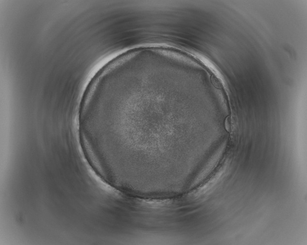 X0000113010951200909101814