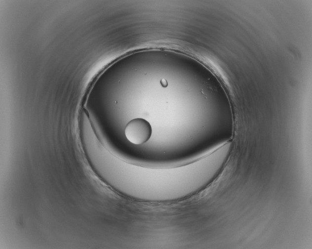 X0000113010952200909101814