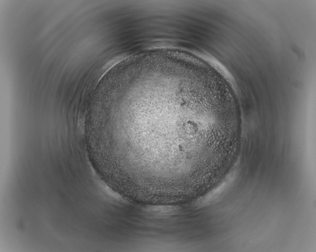 X0000113010953200909101814