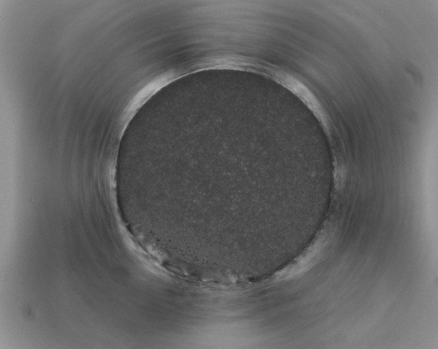 X0000113010954200909101815