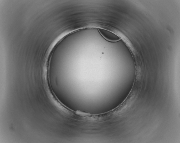 X0000113010955200909101815