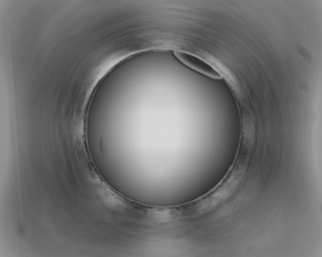 X0000113010956200909101815