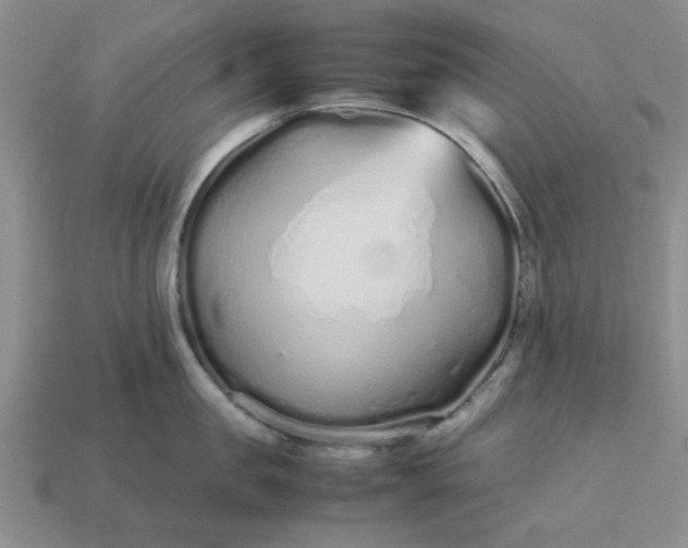 X0000113010957200909101815