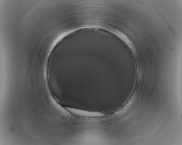 X0000113010958200909101815