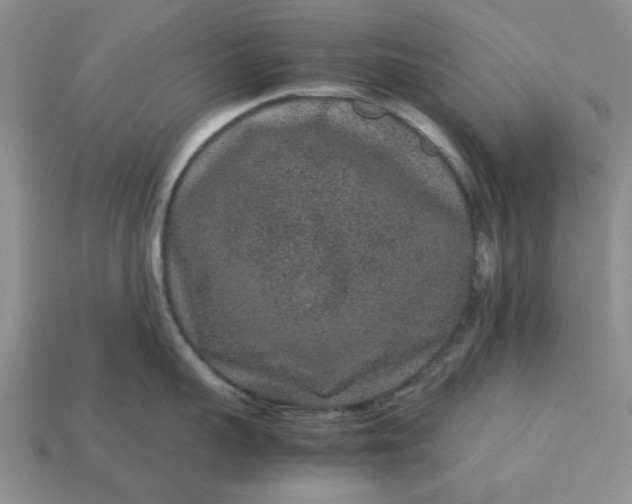 X0000113010959200909101815