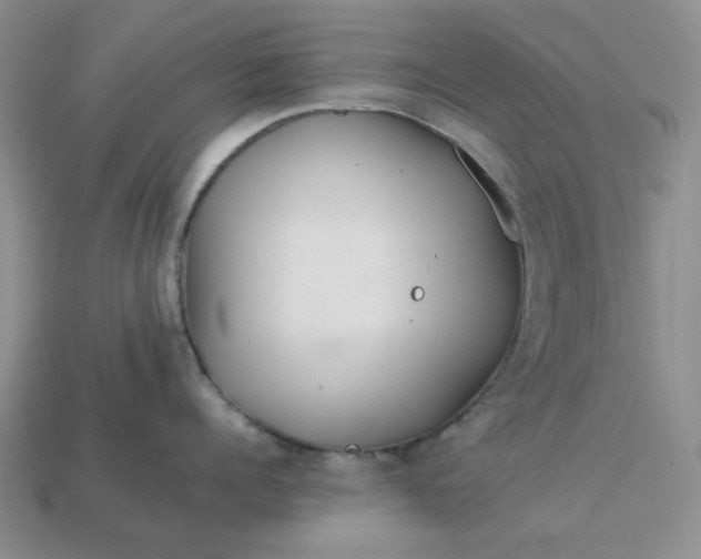 X0000113010960200909101815