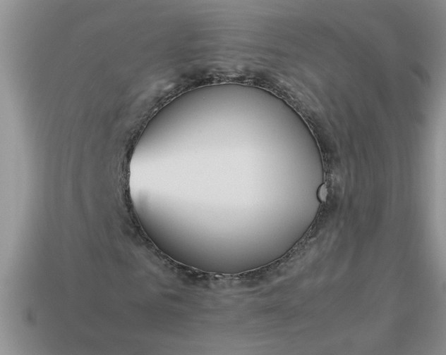 X0000113010961200909101814