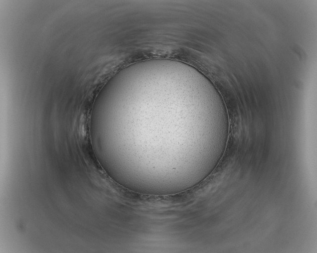 X0000113010962200909101814