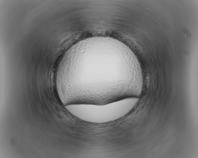 X0000113010964200909101814