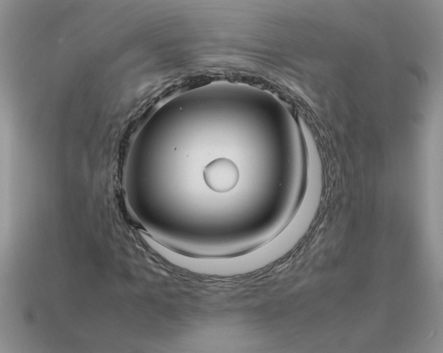 X0000113010965200909101814