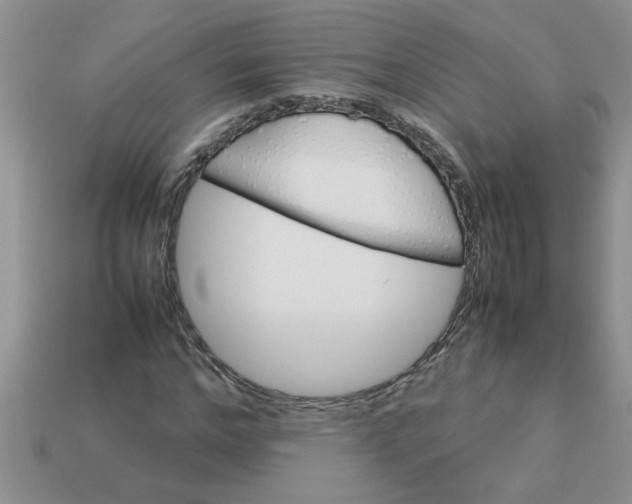 X0000113010968200909101814