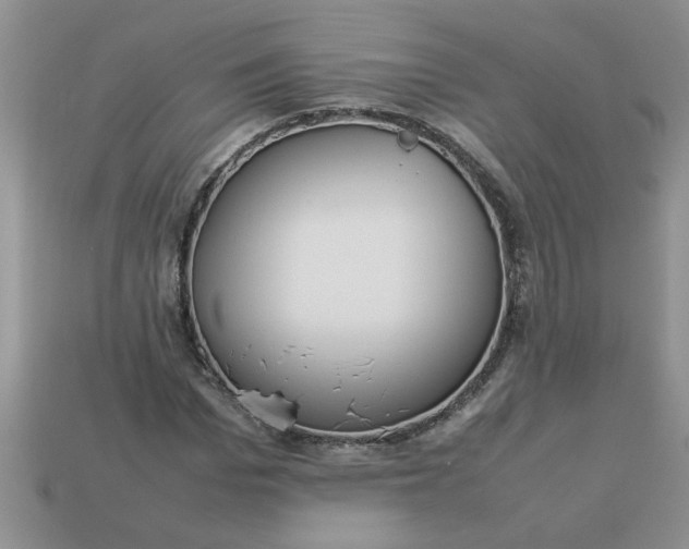 X0000113010969200909101814