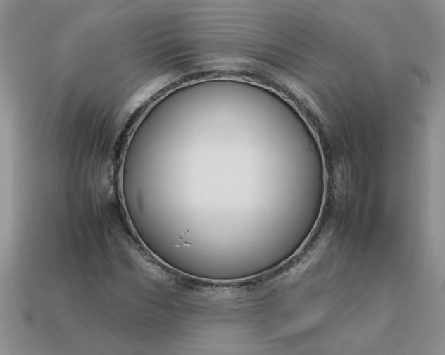 X0000113010970200909101814