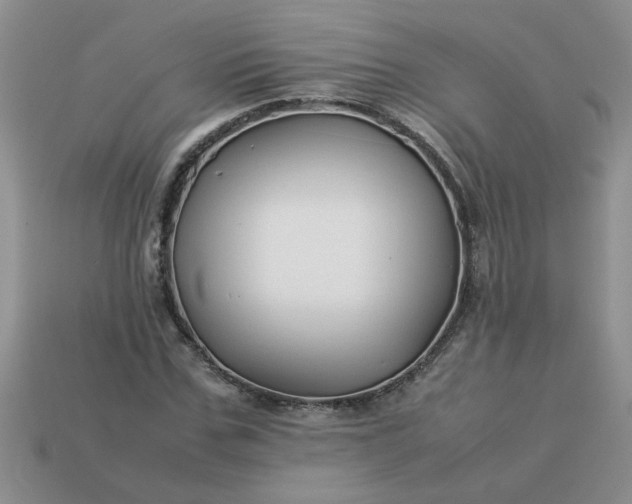 X0000113010971200909101814