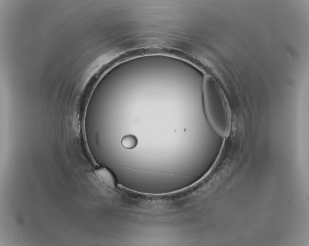 X0000113010973200909101814