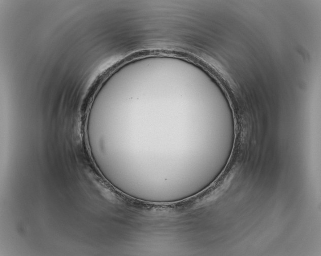 X0000113010974200909101814