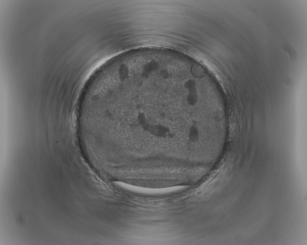 X0000113010975200909101814