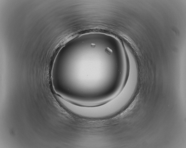 X0000113010977200909101814