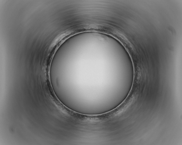 X0000113010978200909101814