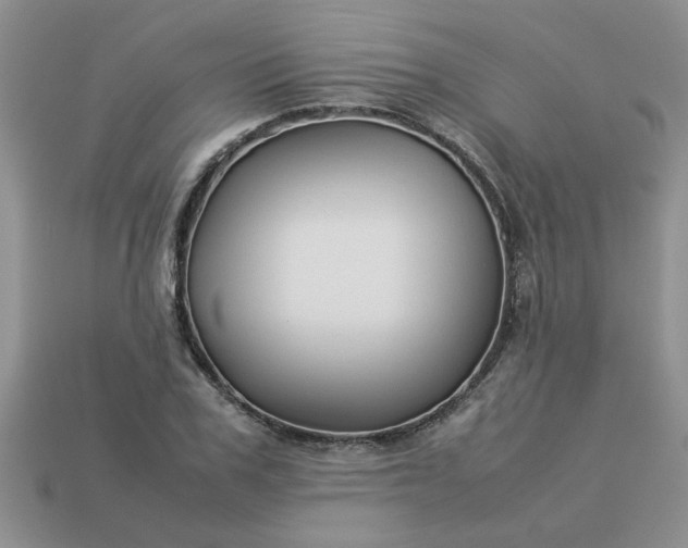 X0000113010979200909101814