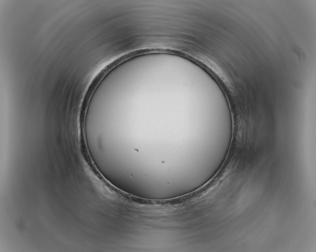 X0000113010980200909101814