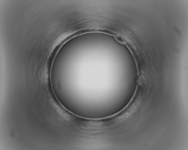 X0000113010981200909101814