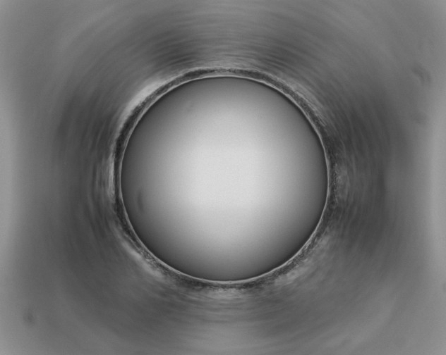 X0000113010982200909101814