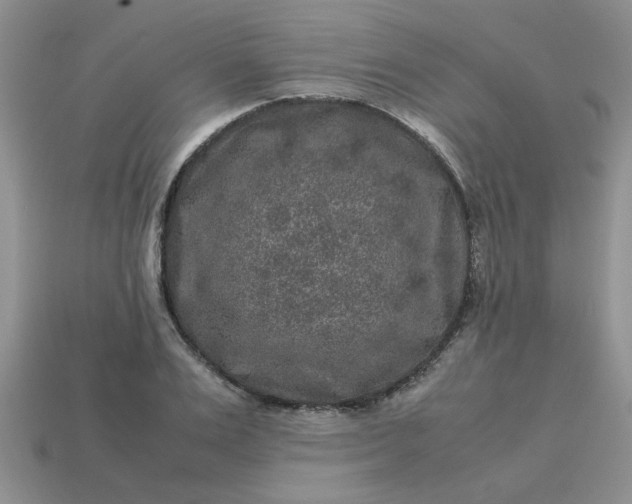 X0000113010983200909101814