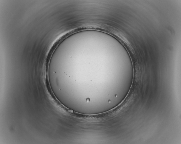 X0000113010984200909101814