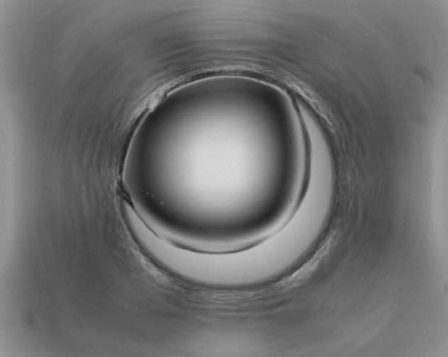 X0000113010985200909101814