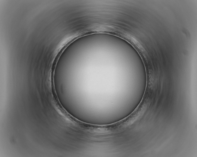 X0000113010986200909101814