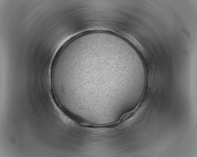 X0000113010988200909101814