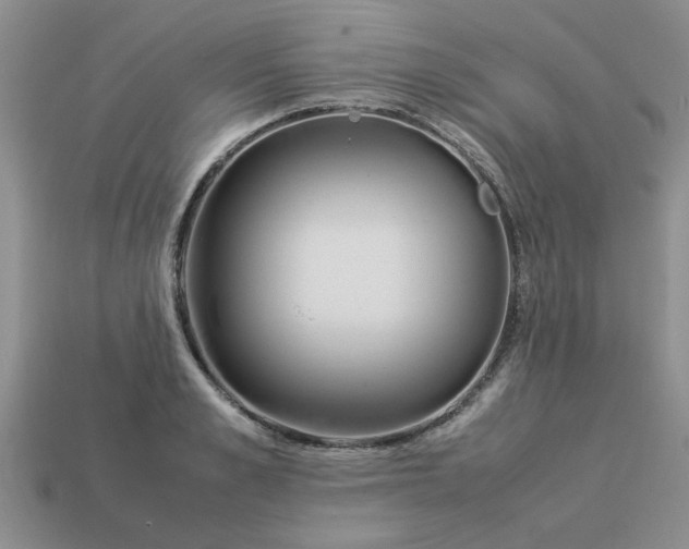 X0000113010989200909101814