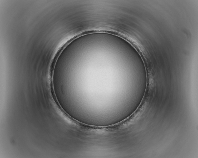 X0000113010990200909101814