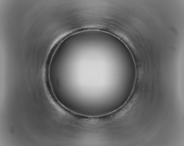 X0000113010991200909101814