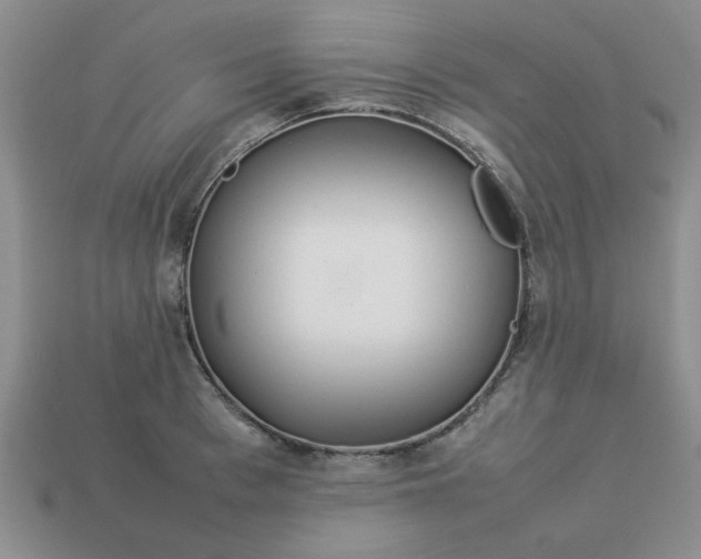 X0000113010993200909101814