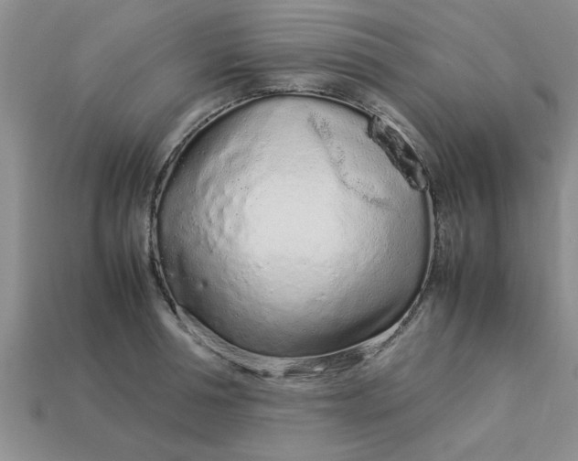 X0000113010994200909101814