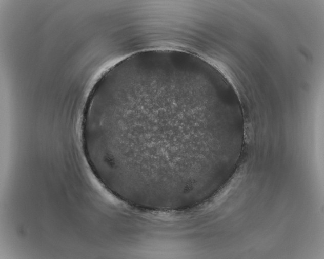 X0000113010995200909101814