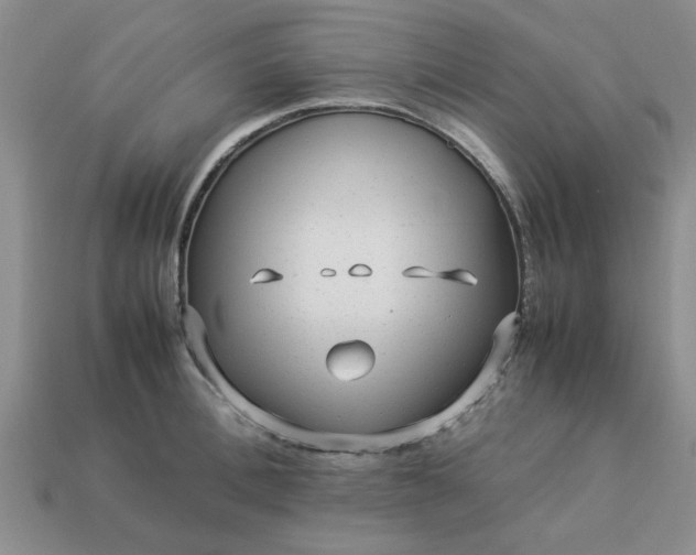 X0000113010996200909101814