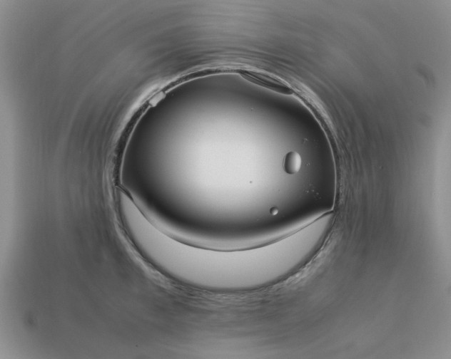 X0000113010997200909101814