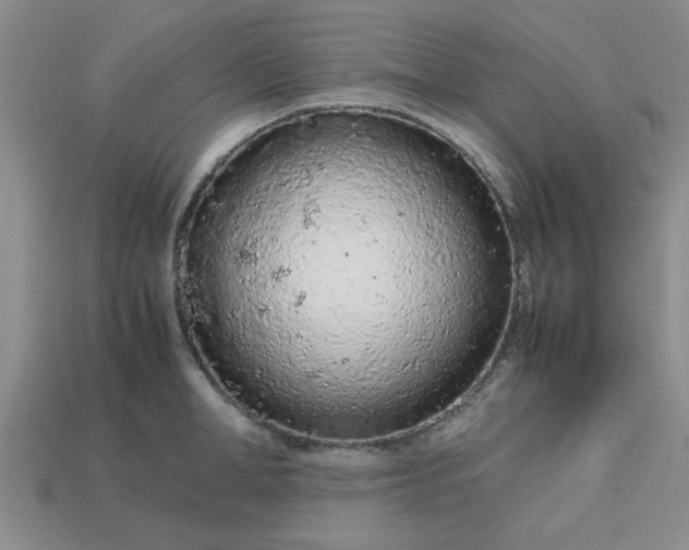 X0000113010998200909101813