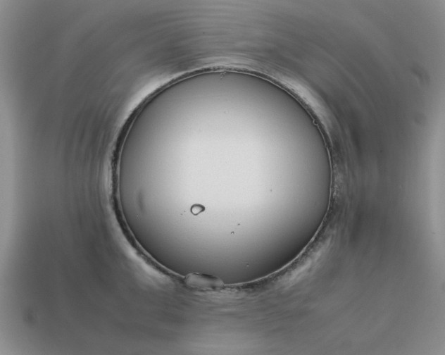 X0000113010999200909101813