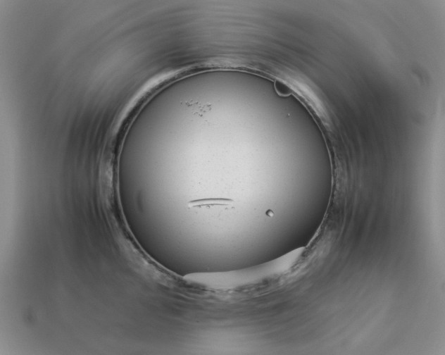 X0000113011000200909101813