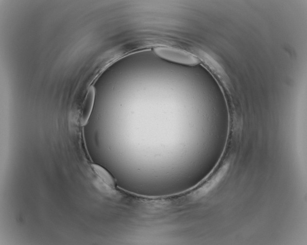 X0000113011001200909101813