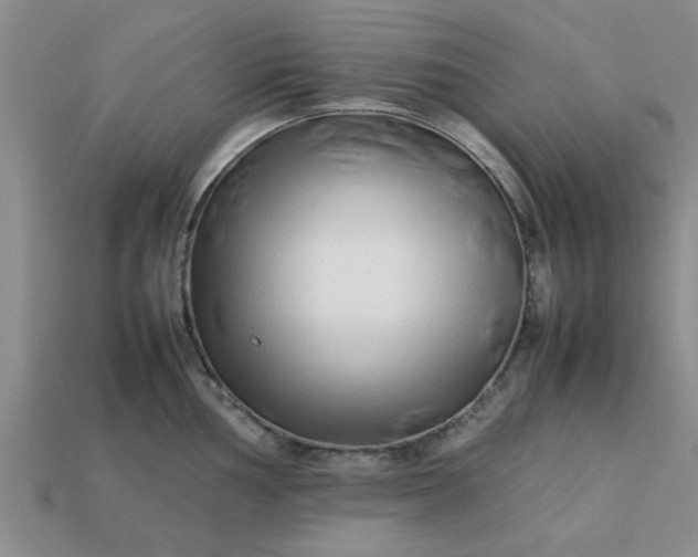 X0000113011002200909101813