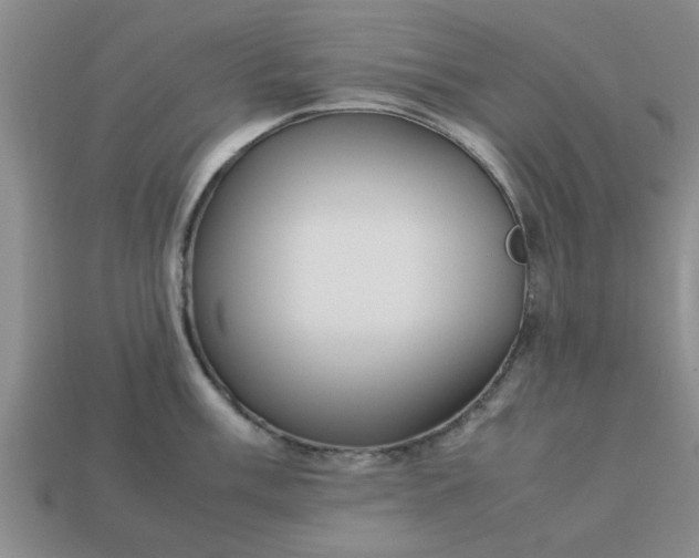 X0000113011003200909101813