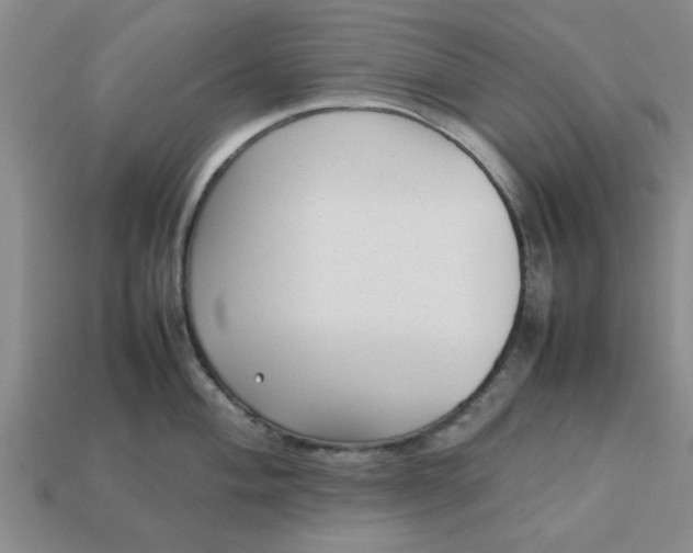 X0000113011004200909101813