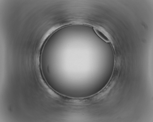 X0000113011005200909101813