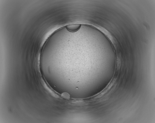 X0000113011006200909101813